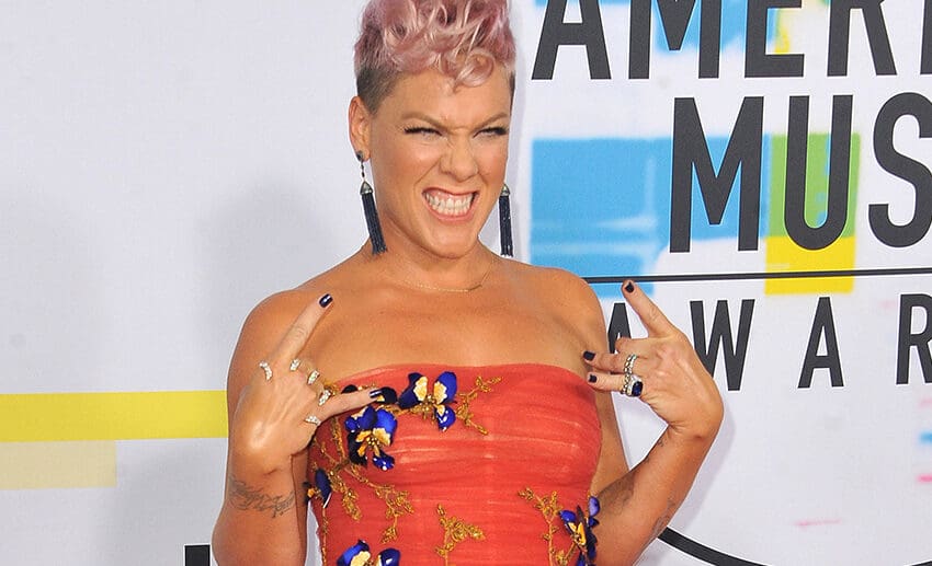 Pink Shares How Her 18-Year Marriage Was on the Brink of Divorce