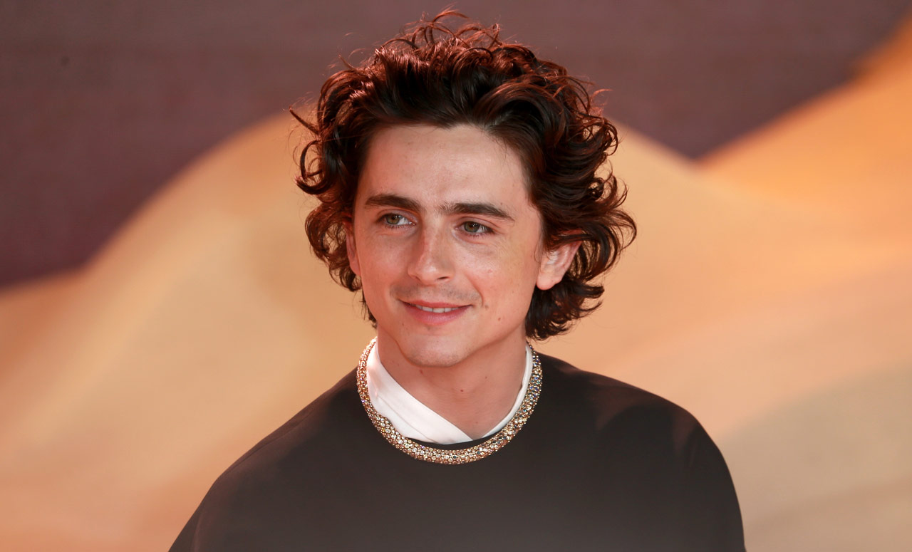 Timothée Chalamet Surprises Fans By Attending His Own Look-Alike Contest