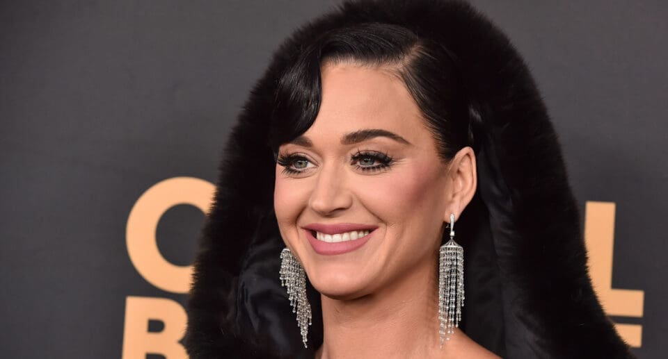 “Show Them This!”: Katy Perry Claps Back At Critics