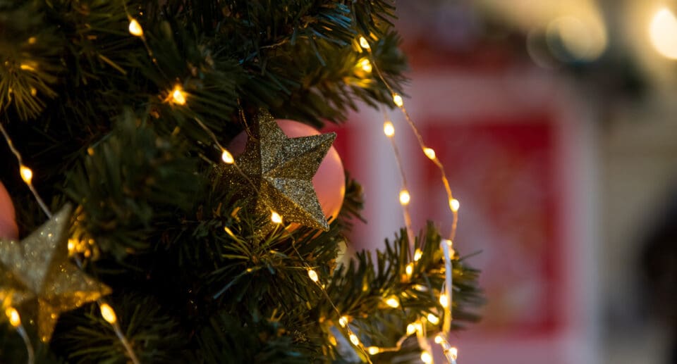 Christmas Lights & Celeb Nights: A Holiday Season to Remember