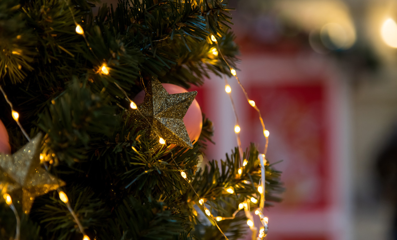 Christmas Lights & Celeb Nights: A Holiday Season to Remember