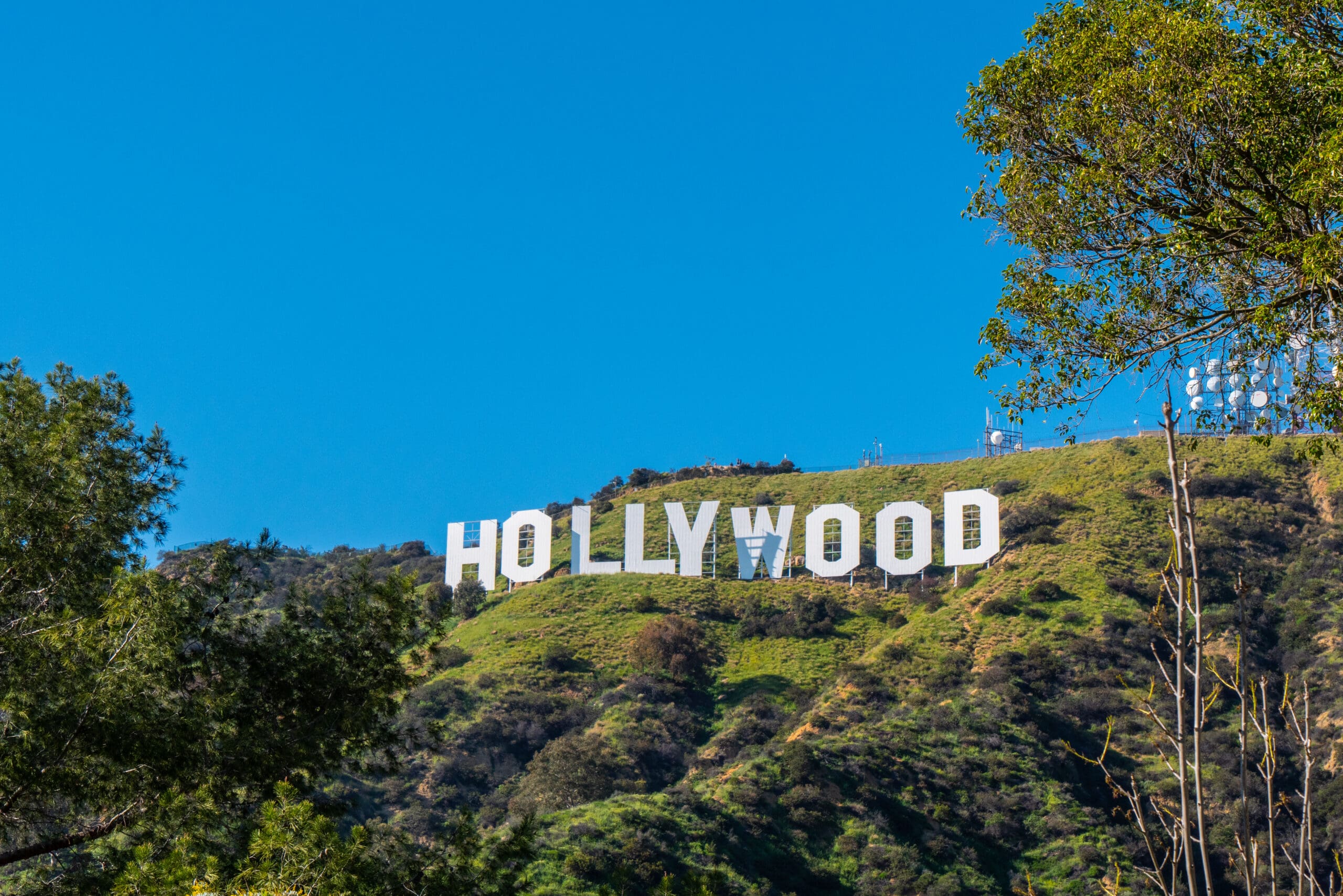 Why Hollywood’s Biggest Stars Are Winning More Fans Than Ever Before